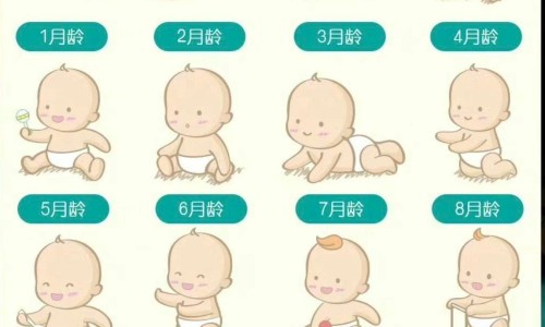 【虾米婴儿吃法大全图】小孩做辅食虾米配合什么好吃一点 - 虾米婴儿吃法大全网