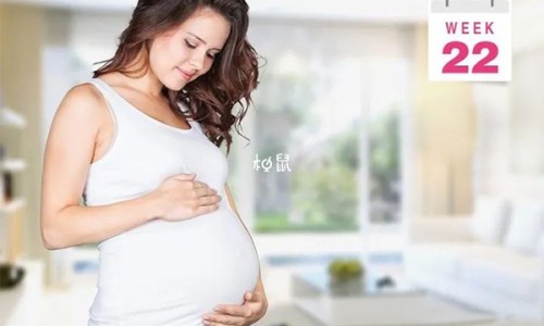 虾米儿童-【虾米婴儿吃法大全图】小孩做辅食虾米配合什么好吃一点 - 虾米婴儿吃法大全网